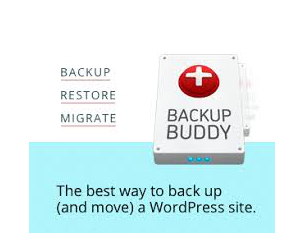 BackupBuddy 2