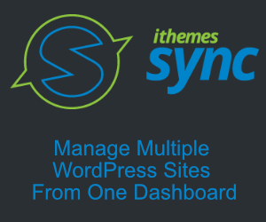 ithemes Sync for website